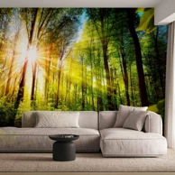 Foto tapeta Forest Hideout, 100x70 cm