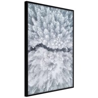 Poster Winter Forest From a Bird's Eye View 30x45