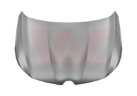 VAN WEZEL Hauba Renault Megane 16-