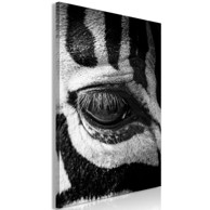 Slika Zebra Eye Vertical 60x90