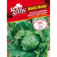 ROYAL SEEDS Sjeme povrća 51 salata dalmatinska ledenka