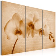 Slika orchid (vintage) 120x80