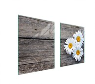 TMK Staklena zaštita za štednjak ili ploču za kuhanje 85x52, daisy