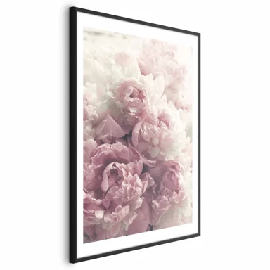Plakat Delicate Peonies, 29.7x42 cm