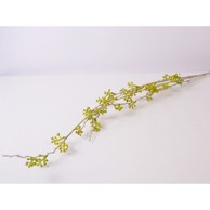 Rezano cvijeće Grana