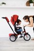 BENTLEY Tricikl Dragon Red, 6u1
