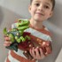 WOOPIE Set za sastavljanje dinosaura 3 kom.
