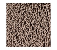 TENDANCE Kupaonski tepih mikrofibra 50X80 cm bež