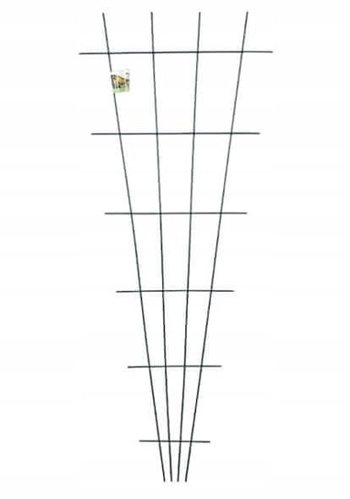 PLANTA Lepezasti nosač za penjačice 150x60 cm
