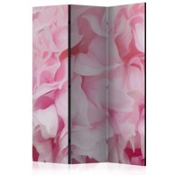 Sobna pregrada u 3 dijela azalea (pink) 135x172
