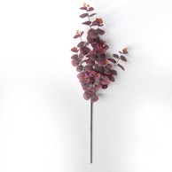 Rezano cvijeće Grana eukaliptusa, 94 cm