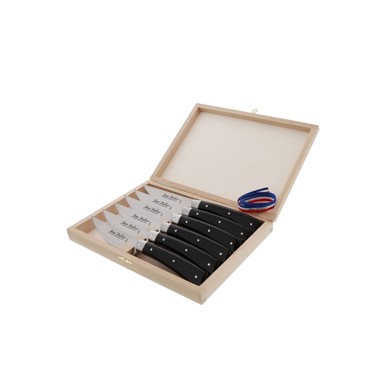 JEAN DUBOST LAGUIOLE Noževi za meso, 6 kom, akril