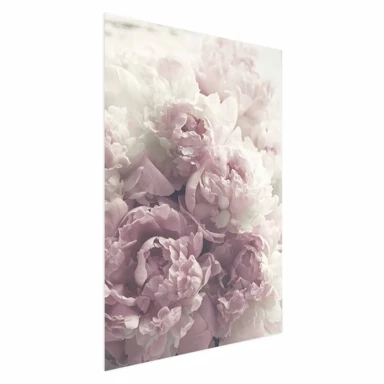 Plakat Delicate Peonies, 40x60 cm
