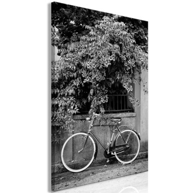 Slika Bicycle and Flowers Vertical 80x120