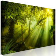 Slika In the Sunshine Narrow 150x50