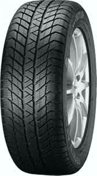 PLATIN RP 70 205/55R17 95V, zimske gume