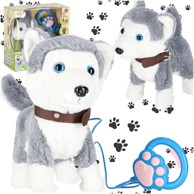 Interaktivni pas na uzici, Husky