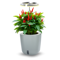 SMART GARDEN Aurelia Pro - samozalijevajuća tegla s LED lampom