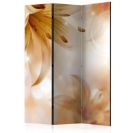 Sobna pregrada u 3 dijela Queens of Summer 135x172