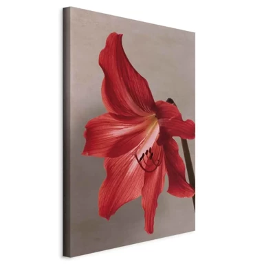 Slika Red Flower, jednodijelna, okomita, 80x120 cm