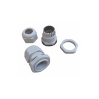 WERTOR Uvodnica PG36