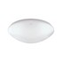 LED Stropna svjetiljka Leon, C, 24W, 4000K, IP44