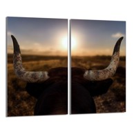 TMK Staklena zaštita za štednjak ili ploču za kuhanje iz dva dijela 30x52, sunce