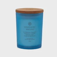 CHESAPEAKE BAY Svijeća medium Confidence & Freedom (oak moss Aer)