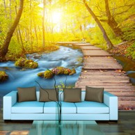 Samoljepljiva foto tapeta Forest 196x140