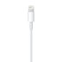 APPLE Kabel USB-A - Lightning 0.5m (ME291ZM/A), bijeli