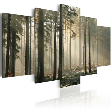Slika Light in a dark forest 100x50
