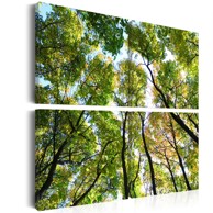 Slika Treetops 60x60