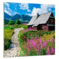 TMK Staklena zaštita za štednjak ili ploču za kuhanje 60x65, planine