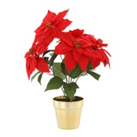 Umjetna crvena Božićna zvijezda u zlatnoj tegli - 49 cm