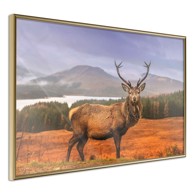 Poster Majestic Deer 60x40