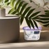 NORTHIX Upijač vlage Ultra Fresh lavanda 230 g