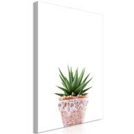 Slika Succulents In Pot Vertical 40x60