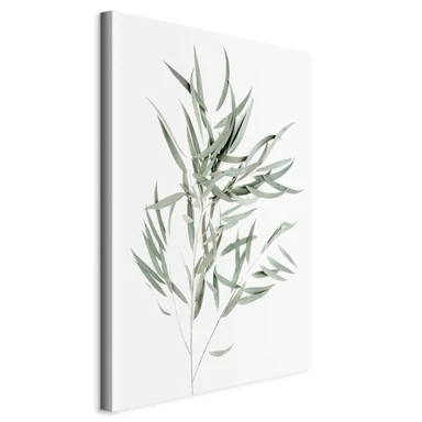 Slika Nicholia Eucalyptus, jednodijelna, okomita, 40x60 cm