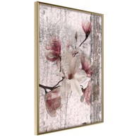 Poster Queen of Spring Flowers I 40x60