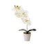 CASA SELECCION Umjetna biljka Orchid, visina 45 cm
