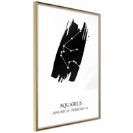 Poster Zodiac: Aquarius I 40x60