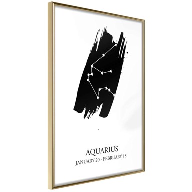 Poster Zodiac: Aquarius I 40x60