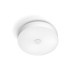 PHILIPS HUE LED Stropna svjetiljka 25 W Fair