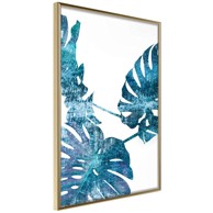 Poster Sapphire Monstera 20x30