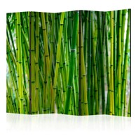 Sobna pregrada u 5 dijelova Bamboo Forest II 225x172