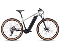 CTM Električni bicikl Wire Xpert