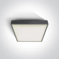 Plafonjera DM67282AN/AN/W, LED 24 W, 3000 K, 1440 lm, 230 V, IP65, antracit