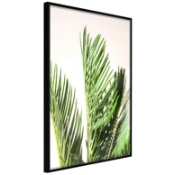 Poster Rustling of Leaves 20x30