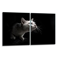 Zaštitna ploča od stakla za štednjak Kat 40 x 52 cm, 2 kom.
