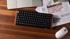 KEYCHRON Tipkovnica mehanička K2 HE, bežična, aluminijska, Gateron Nebula magnetski prekidači, RGB, crna (K2H-F1-UK)